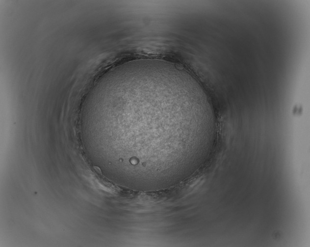 X0000111391009200907171241