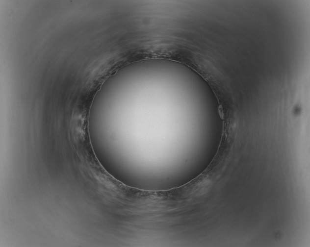 X0000111391010200907171241