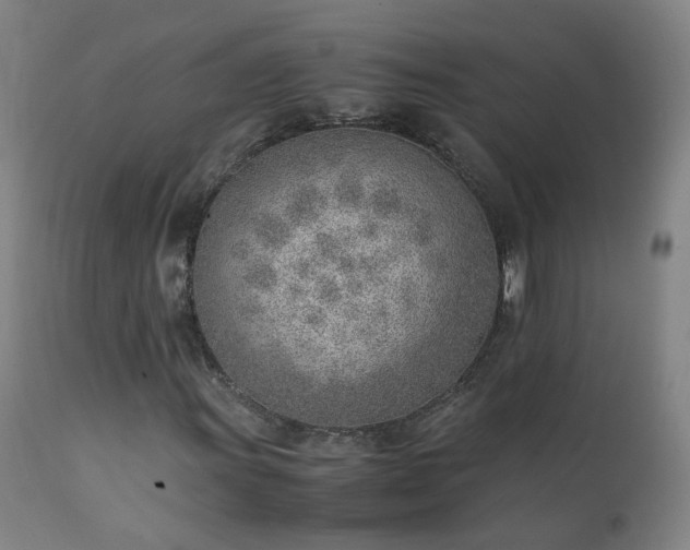 X0000111391011200907171241