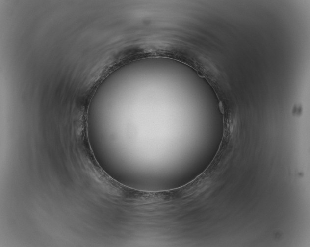 X0000111391012200907171241