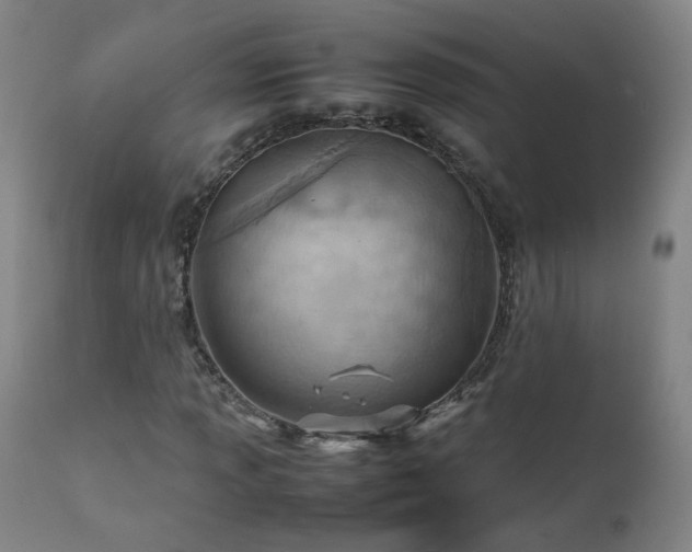 X0000111391013200907171241