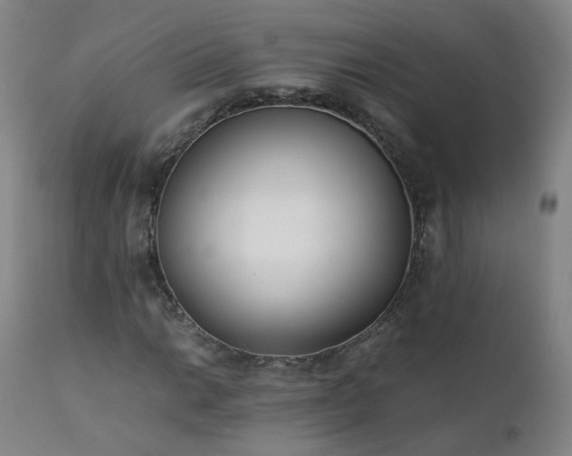 X0000111391014200907171241