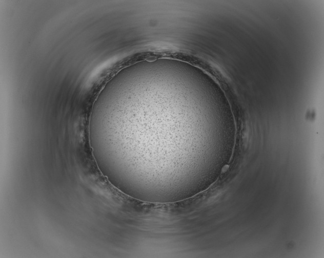 X0000111391016200907171241