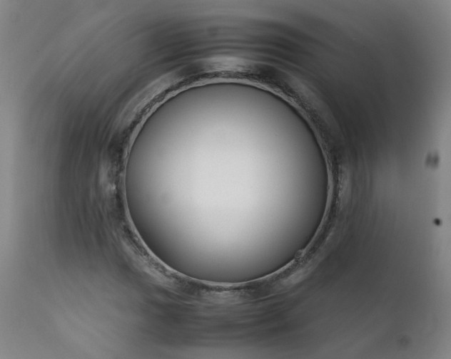 X0000111391017200907171241