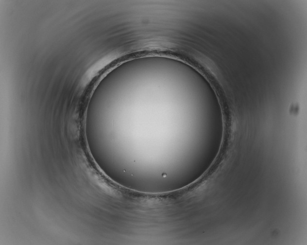 X0000111391018200907171241