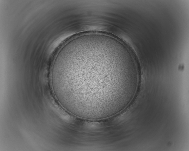 X0000111391019200907171241