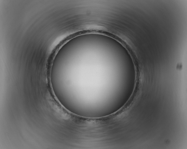 X0000111391022200907171241