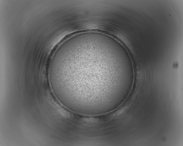 X0000111391023200907171241