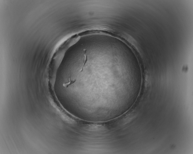 X0000111391024200907171241