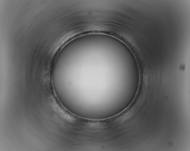 X0000111391025200907171241