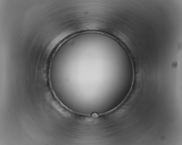 X0000111391026200907171241