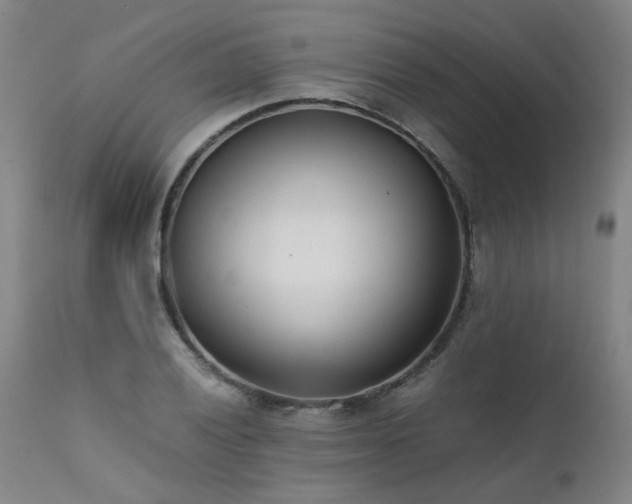 X0000111391028200907171241