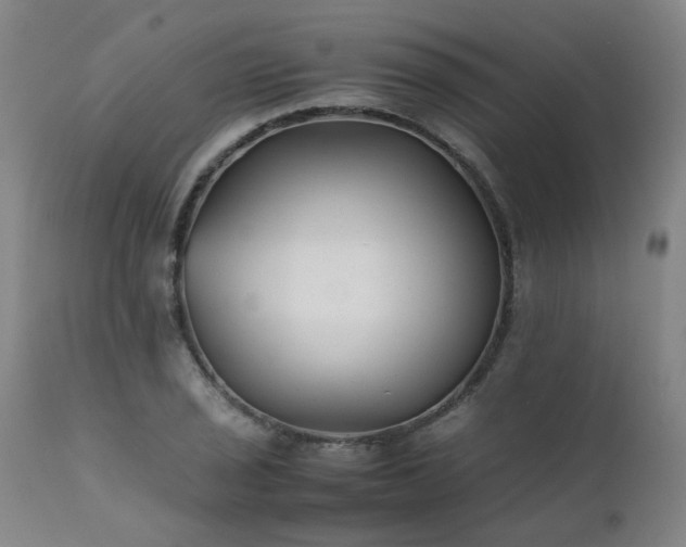 X0000111391029200907171241