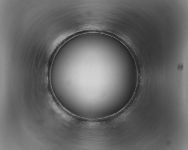 X0000111391030200907171241