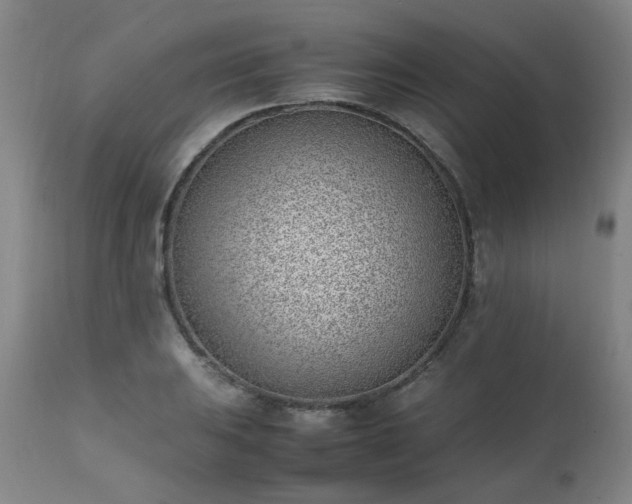 X0000111391031200907171241