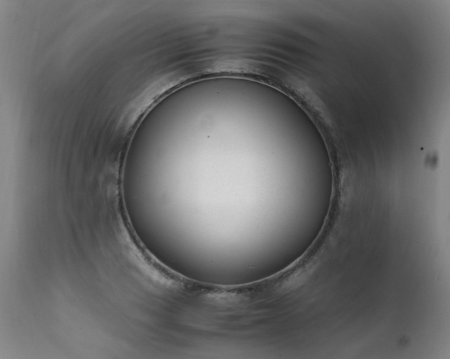 X0000111391033200907171241