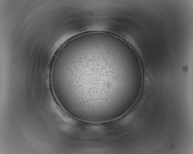 X0000111391035200907171241