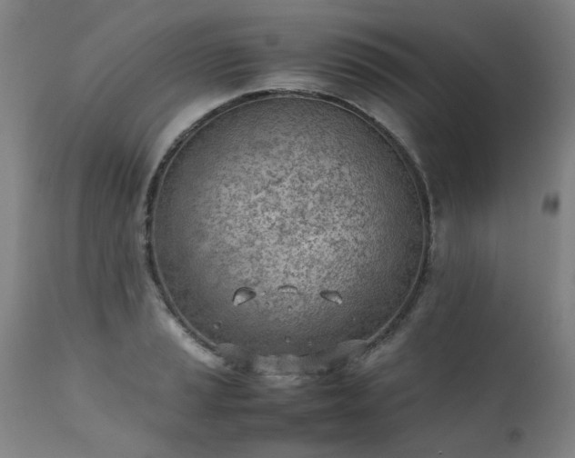 X0000111391037200907171241