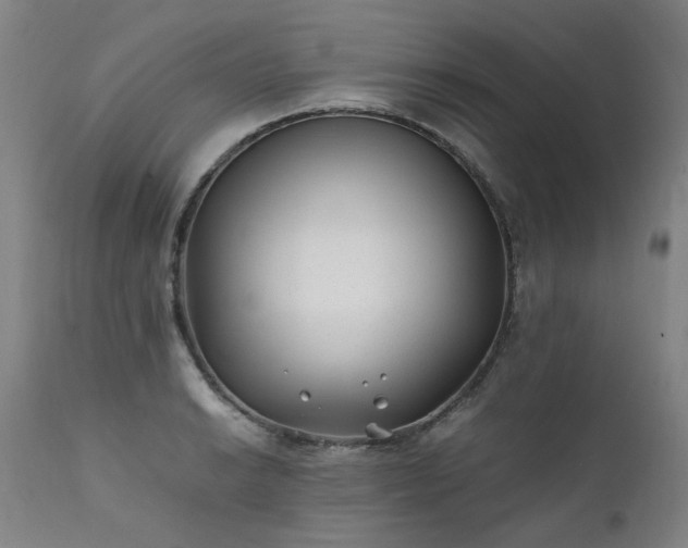 X0000111391038200907171241