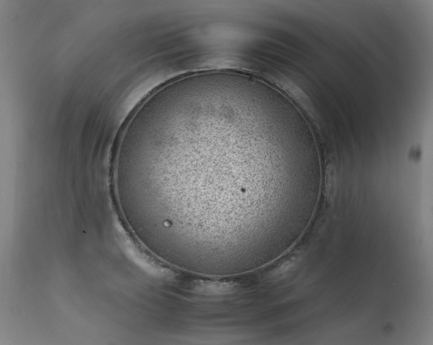 X0000111391039200907171241