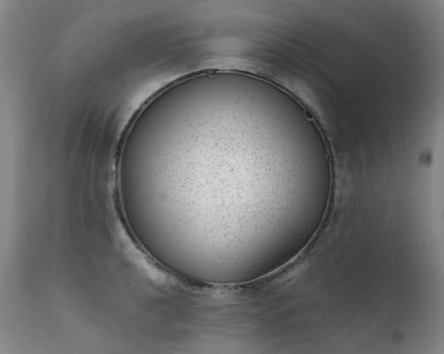 X0000111391040200907171241