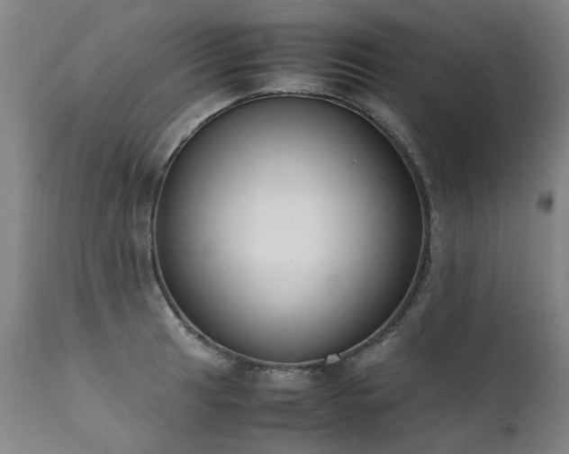 X0000111391041200907171241