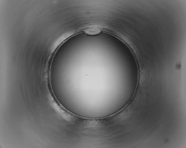 X0000111391042200907171241