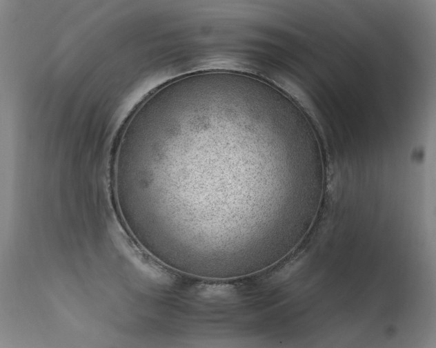 X0000111391043200907171241