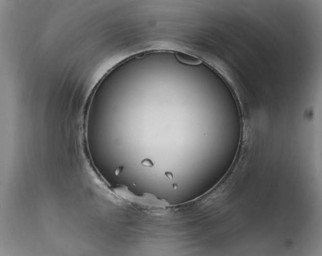 X0000111391048200907171241