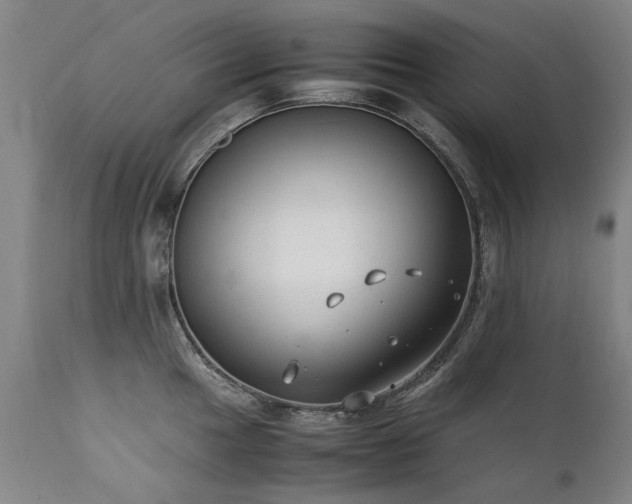 X0000111391049200907171241