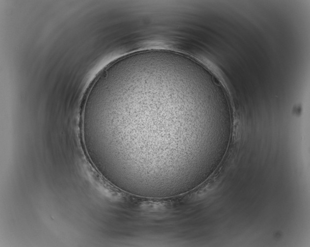 X0000111391051200907171241