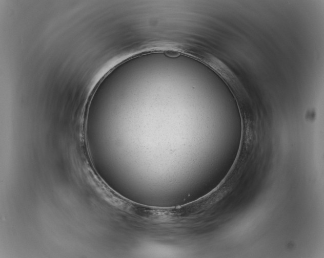 X0000111391052200907171241