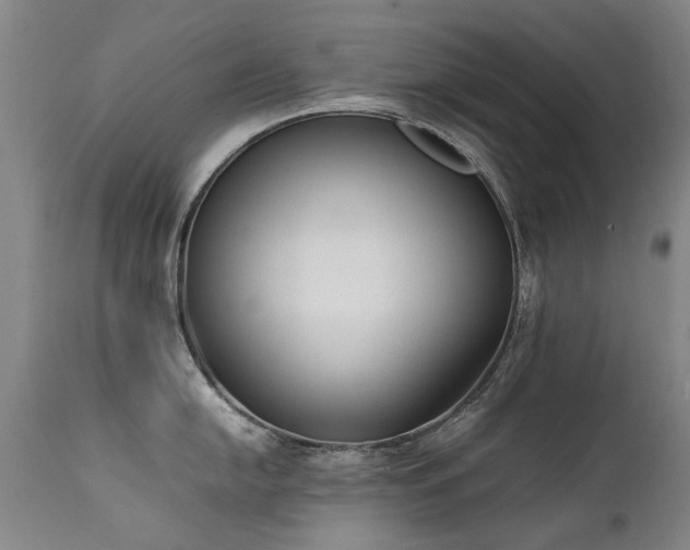 X0000111391054200907171241