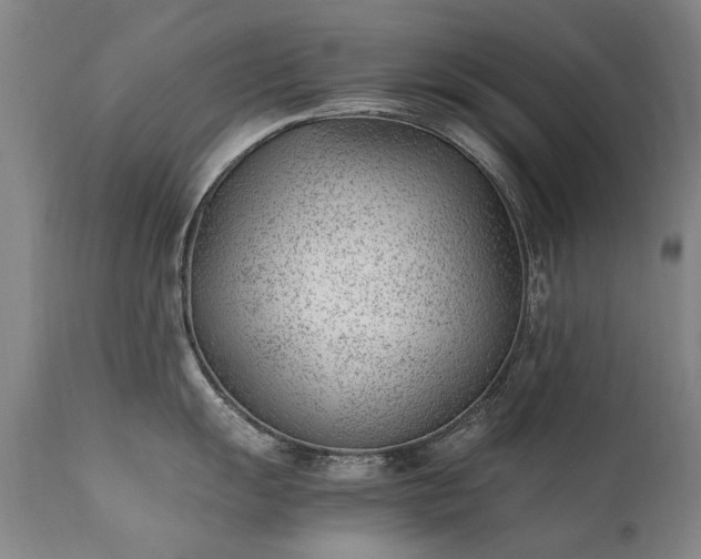 X0000111391055200907171241