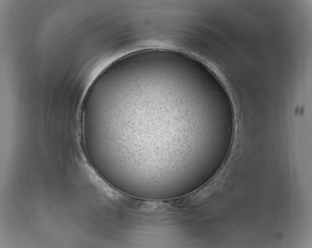 X0000111391056200907171241