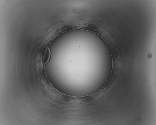 X0000111391058200907171241