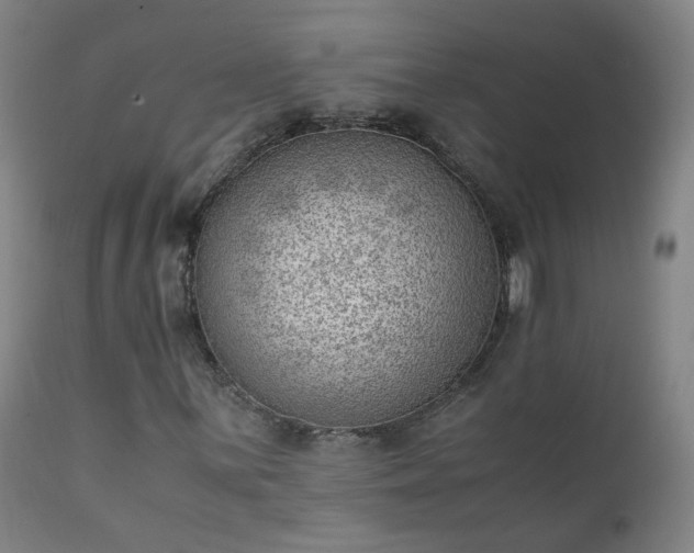 X0000111391059200907171241