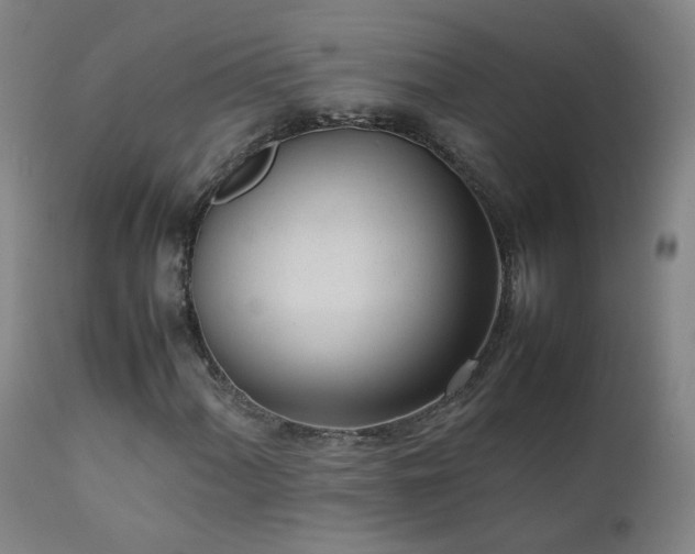 X0000111391060200907171241