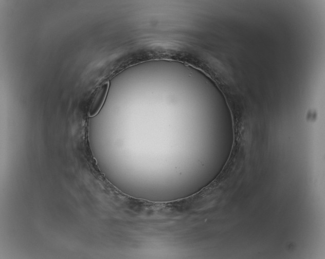 X0000111391061200907171241