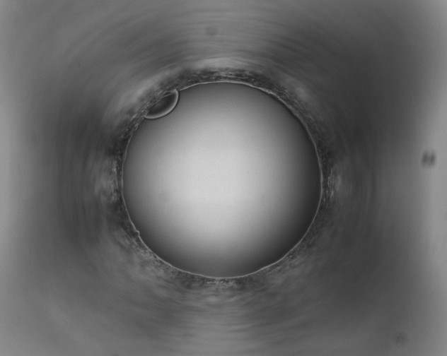 X0000111391062200907171241