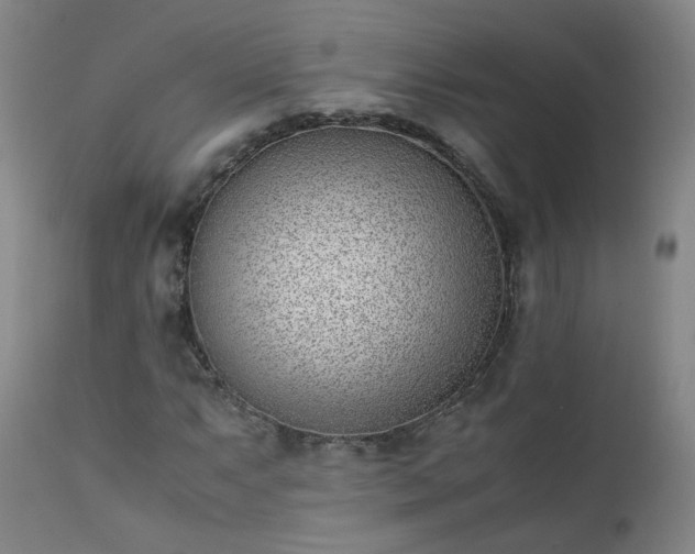 X0000111391063200907171241