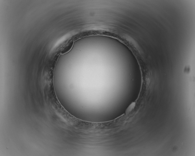 X0000111391064200907171241