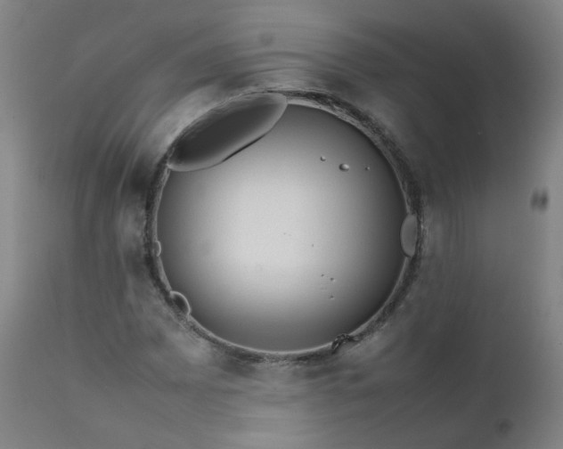 X0000111391065200907171241