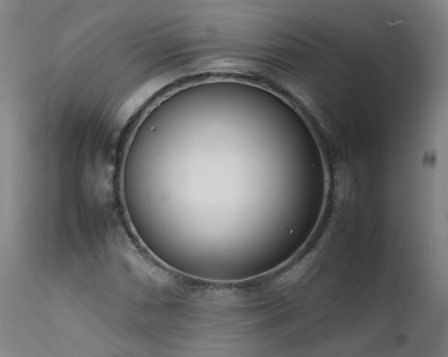 X0000111391066200907171241