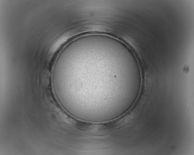 X0000111391067200907171241