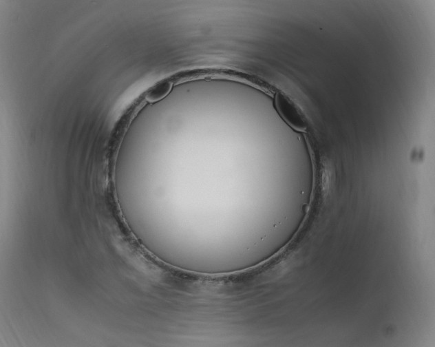 X0000111391069200907171241