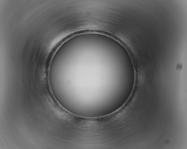 X0000111391070200907171241