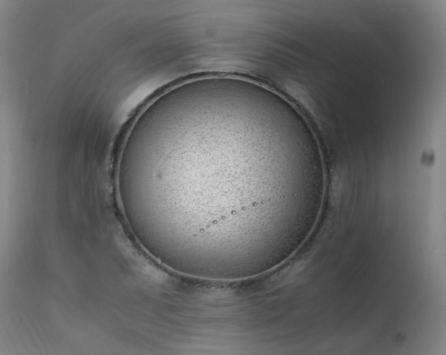 X0000111391071200907171241