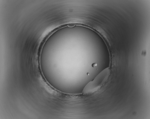 X0000111391072200907171240