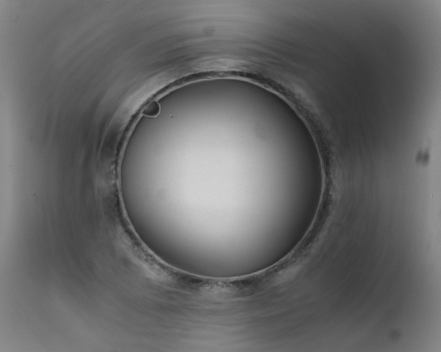 X0000111391073200907171240